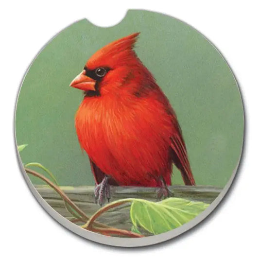 ABSORBENT CAR COASTER RAIL BIRDS