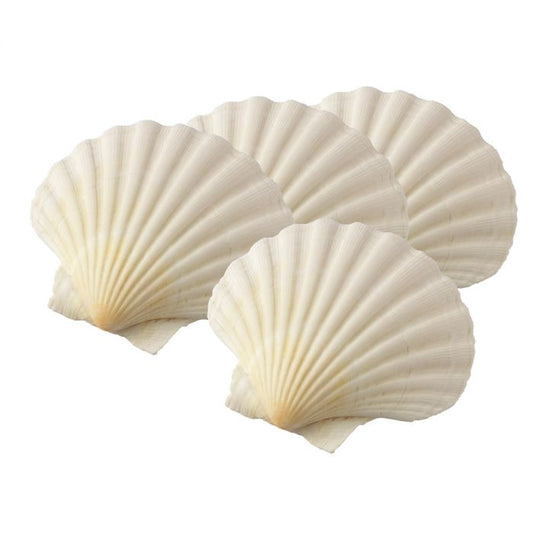 NATURAL SCALLOP BAKING SHELLS  4" SET/4