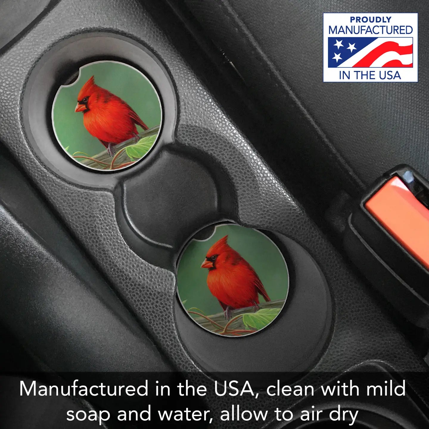 ABSORBENT CAR COASTER RAIL BIRDS